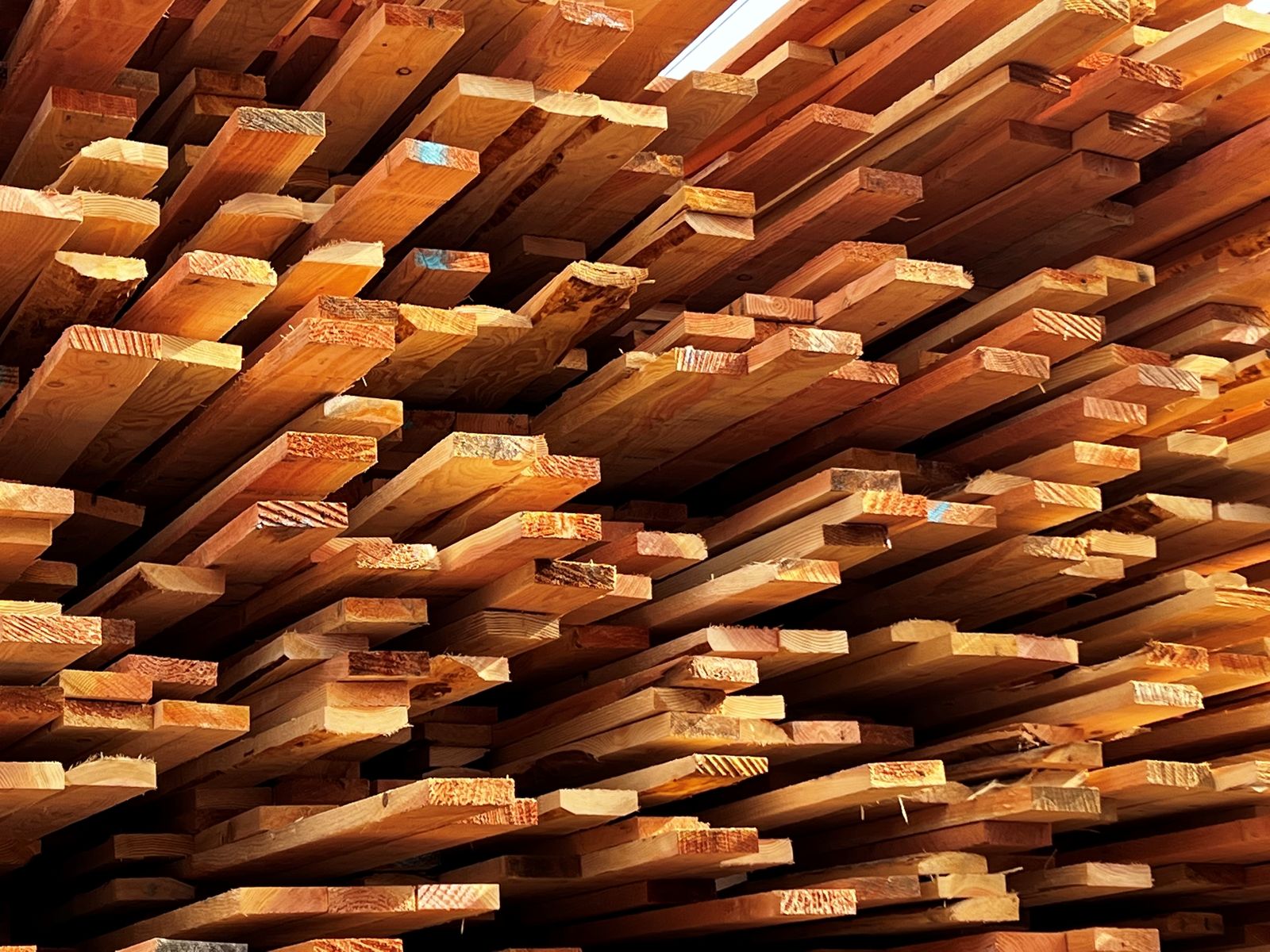 Unpacking Lumber Prices